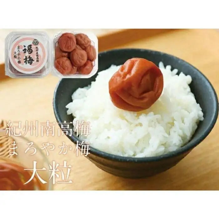 ご家庭用 はちみつ梅干し まろやか梅 大粒 250g 塩分10％ 最高級紀州南高梅 和歌山県産 福梅本舗