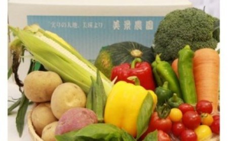 美景農園 野菜定期便 5回 定期便  ≪令和8年産予約受付≫ 新鮮な野菜  [085-03]