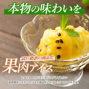 全５回 定期便 ゴロゴロ果肉入り アイス 6個入 スイーツ 定期便 マンゴーの森 IBZ040-003 定期便 定期便