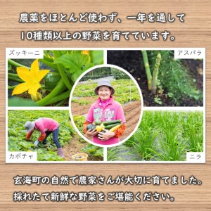 いろどり野菜セット ／ 旬 野菜 【A049】