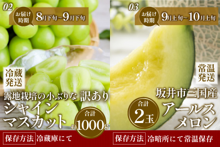 【先行予約】【定期便5回コース】山の幸満喫！限定定期便【2026年7月より発送開始予定】 [G-3204]