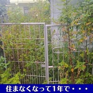 空き家見守り通常プラン