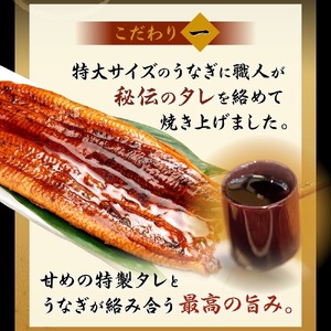 特大うなぎ蒲焼約400g×2尾_特大 うなぎ 蒲焼 無頭 約 400g 2尾 秘伝のタレ グルメ 食品 加工品 魚 魚介類 おかず 惣菜 ご飯のお供 酒の肴 うな丼 ひつまぶし お茶漬け 鰻巻き 冷凍 パック 太輔商事 福岡県 久留米市 お取り寄せ お取り寄せグルメ 送料無料 〔Cu027〕