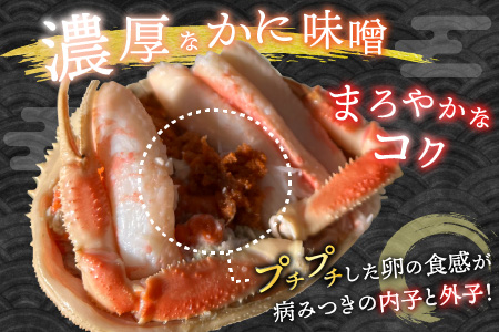 せいこがに 甲羅盛り 3杯 (1杯 60～80g) 合計200g以上 セイコガニ 蟹 [B-6210]