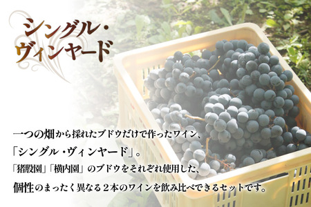 【定期便12回】赤ワイン 穂坂マスカット・ベーリーＡ シングル・ヴィンヤード 750ml 2種 アルコール度 12% [シャトー・メルシャン 勝沼ワイナリー 山梨県 韮崎市 20743314]