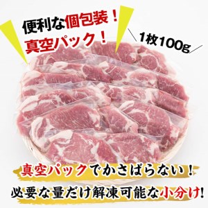 南九州産豚肉ロースとんかつ 計1.6kg(100g×16P) a3-194