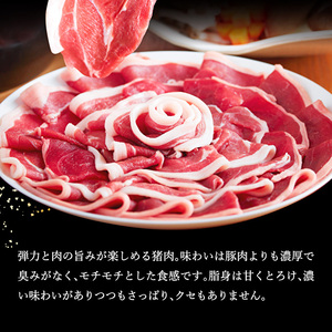 ぼたん鍋 セット 2～3人前[ 鍋 ジビエ 猪肉 ] ジビエ料理 ジビエ鍋 鍋料理 鍋物 猪鍋 天然の猪 ぼたん味噌 地元食材 温まる料理