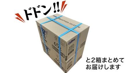 カルビー 堅あげポテト うすしお味 24袋 ( 2ケース ) 65g