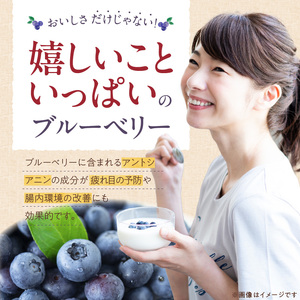 飲むブルーベリー酢　300ml×2本_お酢 ドリンク ブルーベリー 300ml 2本 飲むお酢 ブルーベリー酢 甘くて飲みやすい 希釈 3倍～5倍 果汁 アントシアニン 疲れ目予防 腸内環境改善 簡単 アレンジ 牛乳 炭酸 お酒 瓶 果実酒 お酢飲料 飲料 飲み物 健康 福岡県 久留米市 お取り寄せ 送料無料 〔Ex218〕