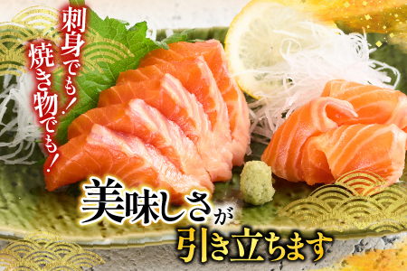 根室海鮮市場＜直送＞いくら醤油漬け70g×1P・刺身用トラウトサーモン(背)300～400g×1本 A-28211