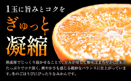 みかん 極 蔵出し熟成 2箱 みかん