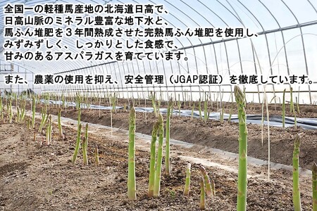 ＜6月15日までの受付＞ 北海道産 春採り グリーン アスパラガス 1kg Mサイズ