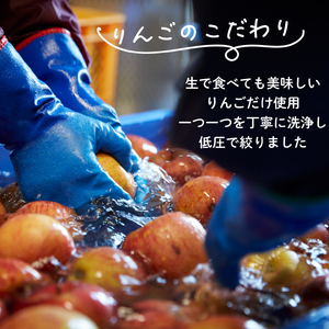 アップル シードル 750ml 1本  お酒 辛口 アルコール Alcohol シードル りんご 林檎 岩手県 大船渡市