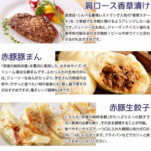 冷凍惣菜詰合せ10種セット 16品 ＜味付け肉4種・豚まん・生餃子・煮込みハンバーグ2種・直火焼きハンバーグ2種＞ 宮城県産 豚 豚肉 肉 お肉 簡単調理 時短 ストック おかず 惣菜【有限会社伊豆沼農産】 tm033