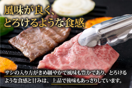 【福井のブランド牛肉】若狭牛焼肉食べ比べセット 1kg(上カルビ500g×1パック・モモ500g×1パック)【4等級以上】