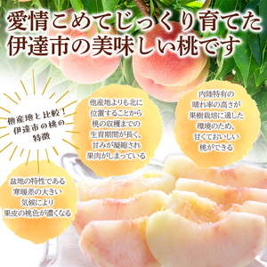 【2026年出荷分先行予約】福島県産 あかつき 約3kg (7～12玉) 株式会社幸青果 青果店厳選 伊達の桃 桃 フルーツ 果物 もも モモ momo F20C-667