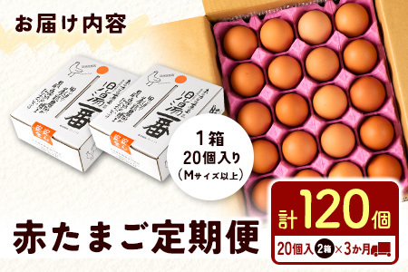 ＜7月配送開始＞児湯養鶏自慢の卵ネッカリッチ赤たまご「児湯一番」 計120個 （20個入×2箱）×3か月定期便【C55-2607】