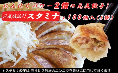 浜松餃子 大須のぎょうざ［ 浜松ぎょうざ にんにくマシマシ！元気回復！＜ スタミナ味 ＞］× 5袋（1袋20個入、合計100個） 惣菜 冷凍 冷凍ギョーザ 夕飯 つまみ 中華 ヘルシー ジューシー 手作り餃子 