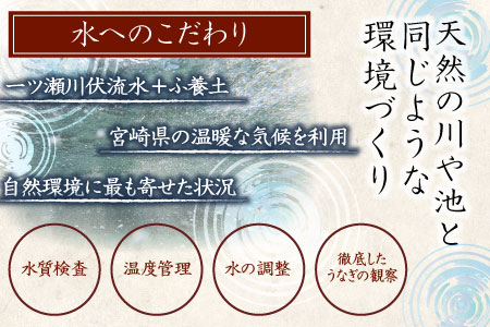 新仔?味鰻の手焼備長炭蒲焼 5尾（無頭）化粧箱入 熨斗対応可【D109-2311】国産 うなぎ 鰻 ウナギ 蒲焼 長焼 九州 宮崎