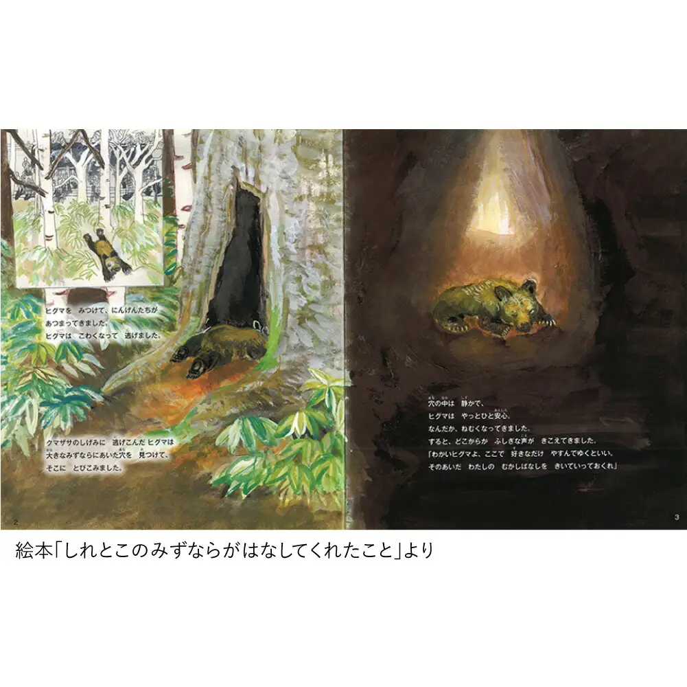 知床財団オリジナル絵本セット_雑貨   