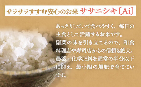 米 食べ比べSET ササシグレ 玄米 5kg ササニシキ 玄米 5kg ささしぐれ ささにしき お米 コメ こめ おこめ ご飯 ごはん 希少 優しい 甘み