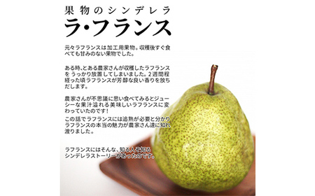 【2026年度先行予約】山形県産 秀品 ラ・フランス 3kg なし ナシ 梨 デザート フルーツ 果物 くだもの 果実 食品 山形県 FSY-0454