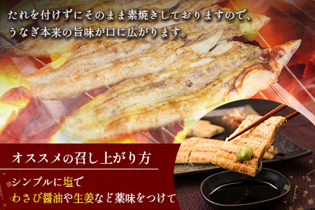 うなぎ 白焼き 2尾×3ヶ月 定期便 鰻 E209