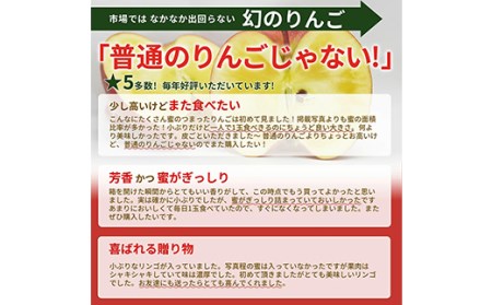 《2026年発送 先行予約》 蜜入りりんご 高徳 2kg (6～12玉入り) 山形県産 ギフト用 林檎 フルーツ 《2026年11月上旬から発送開始》 りんご リンゴ デザート 果物 くだもの 果実 食品 山形県 FSY-0458