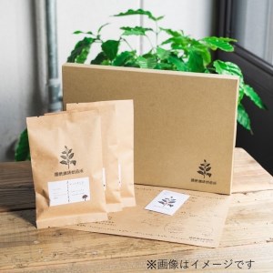 播磨珈琲焙煎所おすすめコーヒー豆セット《 珈琲 コーヒー 珈琲豆 オリジナルブレンド ミャンマー セット 詰め合わせ 》【2501G11403】