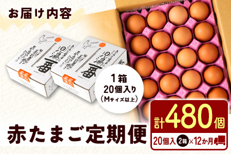 ＜2026年6月配送開始＞児湯養鶏自慢の卵 ネッカリッチ赤たまご「児湯一番」 計480個 （20個入×2箱）×12か月定期便【E19-2606】