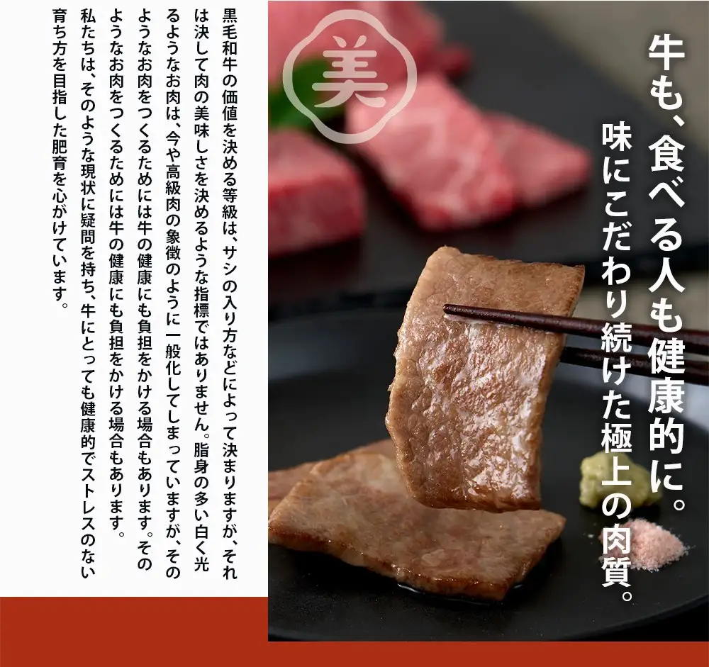 牛肉 美熊野牛 食べ比べ6種 焼肉セット 500g【okad0008】