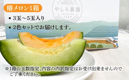 【先行予約】【2026年6月順次発送】やしろ農園の椿メロン 赤肉 緑 メロン フルーツ 果物 食べ比べ 五島市 / いきいきファーム [PCY008]