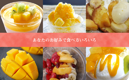 マンゴー【2026年発送】ご家庭用でも極上に美味しい完熟アップルマンゴー約5kg 農園直送！ 家庭用 