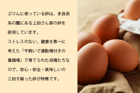 【新感覚!!】そばの実をかけて食べるぷりん 6個【売切必至!!かしま自然農園のこだわりが詰まった人気のプリン】B-521