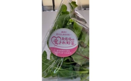 【定期便 3ヶ月連続】洗わずに食べられる！たむらの愛され野菜 ミックスリーフセット　10個