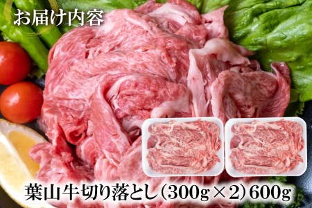【 神奈川県産 黒毛和牛 】三浦市 の 佐藤牧場 が育てた 葉山牛 切り落とし 2P M079-006-01 肉 牛肉 冷凍