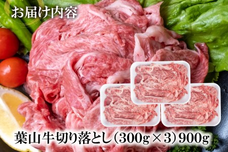 【神奈川県産 黒毛和牛 】 三浦市 の 佐藤牧場 が育てた 葉山牛 切り落とし 3P M079-006-02 肉 牛肉 冷凍
