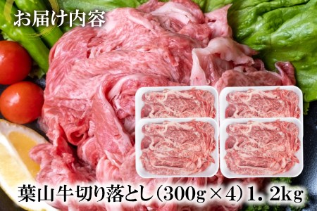 【 神奈川県産 黒毛和牛 】 三浦市 の 佐藤牧場 が育てた 葉山牛 切り落とし 4P M079-006-03 肉 牛肉 冷凍