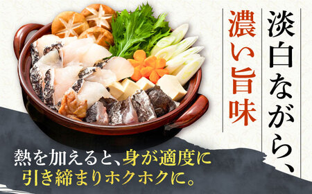 天然 クエ 鍋セット（2〜3人前）[JCC010]  クエ鍋