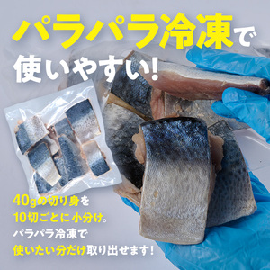 訳あり・業務用さば 切り身 (総計約1.2kg・30切) 訳あり さば 切り身 セット スピード発送 冷凍 国産 切身 魚 海鮮 おかず 骨抜き 骨なし 骨取り 個包装 鯖 惣菜 簡単調理 無塩 フライ 塩焼き 味噌煮 小分け魚 切り身魚 【AQ88】【やまろ渡邉】