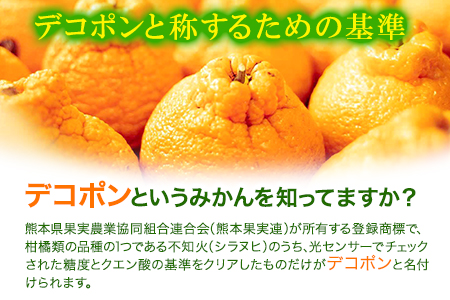 デコポン 約3kg 熊本県産 (荒尾市産含む) 不知火 柑橘 フルーツ 果物 フレッシュフーズ 《2027年3月上旬-4月中旬頃出荷》 美味しいデコポン 旬のデコポン ジューシーデコポン フルーツデコポン