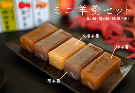 【大月の銘菓】ミニ羊羹セット(5本入×2)
