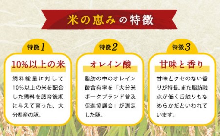 大分県産 ブランド豚「米の恵み」こま切れ・ミンチセット 合計2kg 各1kg