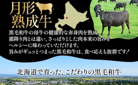 月形熟成牛 ハンバーグ 120g 10個 計 1200g 1.2kg 北海道フード株式会社 無添加 熟成肉 冷凍 ギフト 詰め合わせ 和牛 赤身 牛肉 お弁当 ランチ 昼食 夕食 おかず 惣菜 バーベキュー 焼肉 キャンプ アウトドア【 月形町 】