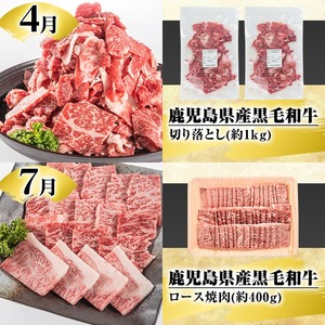 ＜定期便・全4回(4月・7月・10月・12月)＞鹿児島県産！黒毛和牛満喫定期便(総量2.3kg超)国産 九州産 鹿児島産 牛肉 国産牛 もも モモ肉 もも肉 スライス サーロイン ステーキ 切り落とし 切落し ロース 焼肉 焼肉セット 赤身 A4 頒布会【スターゼン】akn042-21