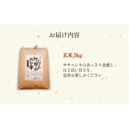 特別栽培米 ササニシキ 玄米 5kg