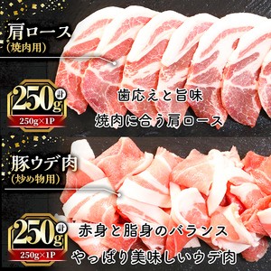 鹿児島県産 「天恵美豚」 豚 バラ ロース 肩ロース モモ ウデ(250g×6P・計1.5kg) 国産  豚肉 しゃぶしゃぶ しょうが焼き【アグリおおすみ】A340-v01