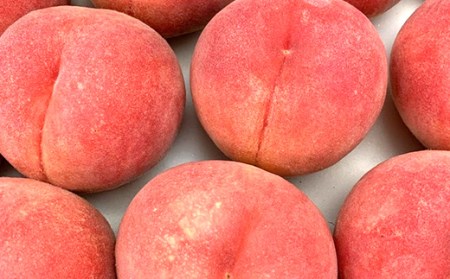 《先行予約 2026年発送》～わたしのオススメ～山形県産もも2kg「玉うさぎ」 もも モモ 桃 デザート フルーツ 果物 くだもの 果実 食品 山形県 FSY-2871