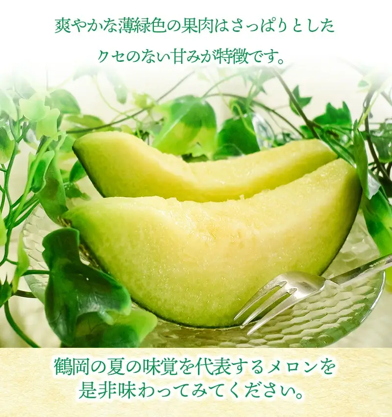 【令和8年産先行予約】 庄内砂丘青肉メロン 秀品 大玉 約5kg (3～4玉)　山形県鶴岡市産　株式会社 元青果　| メロン めろん フルーツ 果物 くだもの 夏 旬 デザート 産地直送 山形 鶴岡 庄内 東北 人気 おすすめ 美味しい 国産 お取り寄せ 返礼品