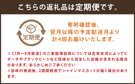 【定期便 4回コース】時津の果物定期便 みかんとぶどうの町から贈る 特産品の定期便 定期便 4回 果物 くだもの フルーツ シャインマスカット 巨峰 みかん 不知火